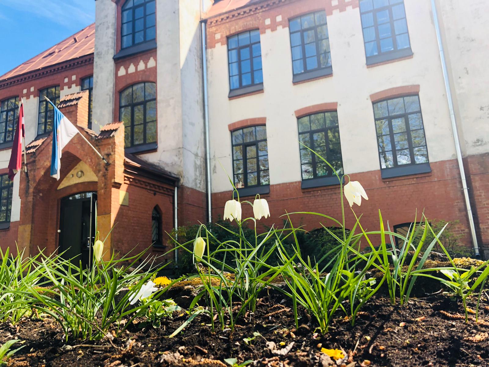 Rīgas 3. pamatskola